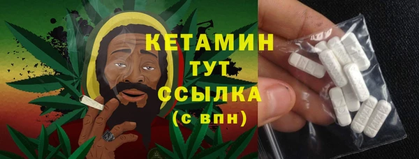 сатива Новодвинск