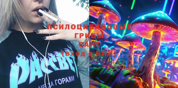 сатива Новодвинск