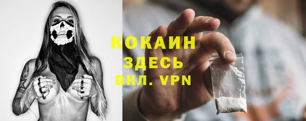сатива Новодвинск