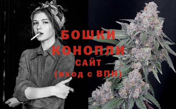 сатива Новодвинск