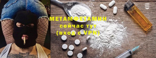 сатива Новодвинск