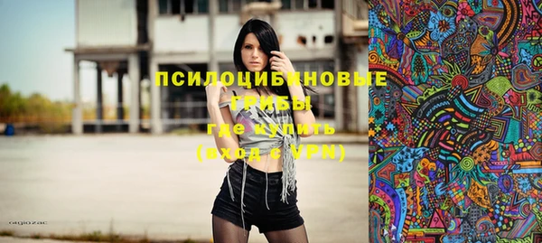 сатива Новодвинск