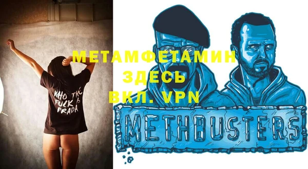 сатива Новодвинск