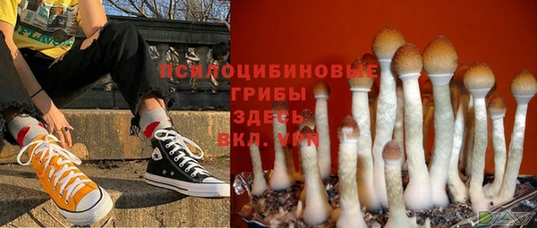 гашишное масло Новозыбков