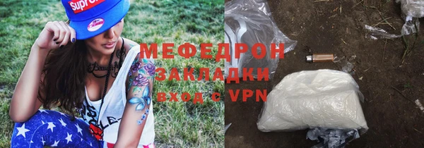 сатива Новодвинск