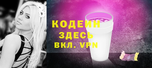 сатива Новодвинск