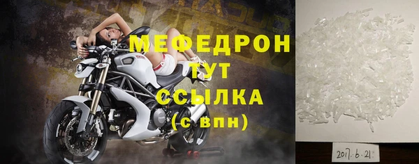 сатива Новодвинск