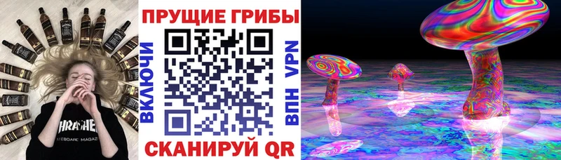 сколько стоит Лениногорск Псилоцибиновые грибы GOLDEN TEACHER