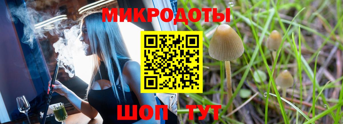 закладка  Вход с VPN  Лениногорск  Галлюциногенные грибы Cubensis 