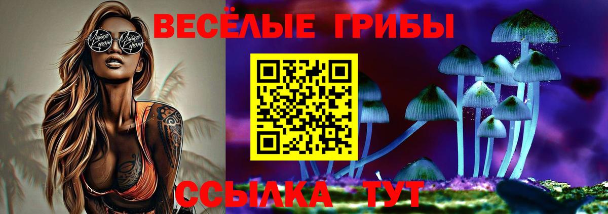 Псилоцибиновые грибы мицелий Лениногорск